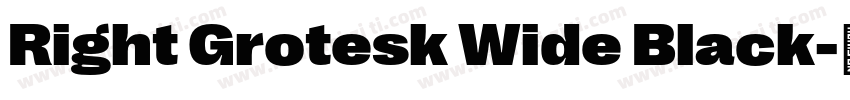 Right Grotesk Wide Black字体转换